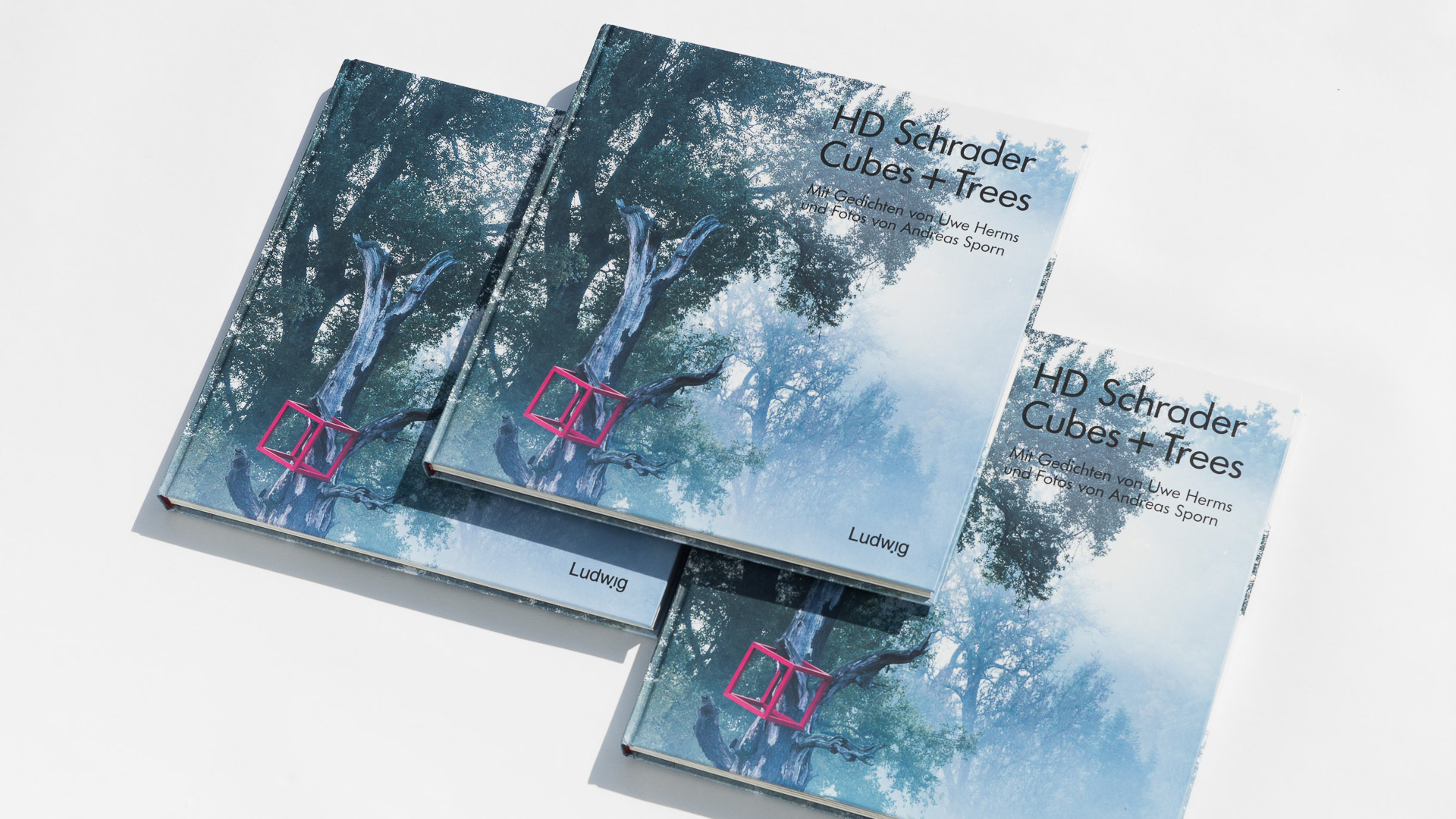 Neues Buch „Cubes + Trees“ 7