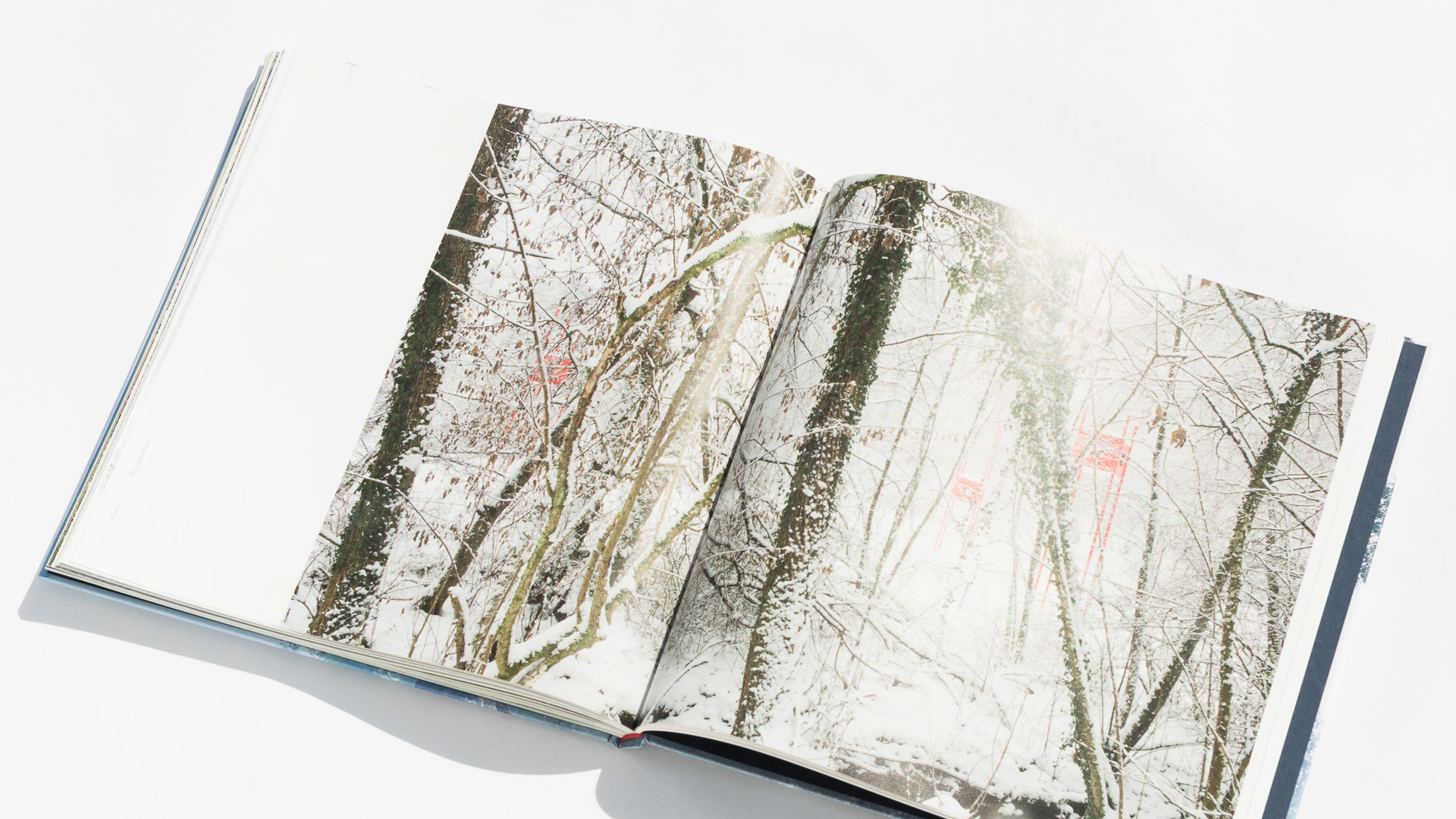 Neues Buch „Cubes + Trees“ 3